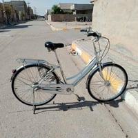 باسكيل • ياباني • حجم٢٦