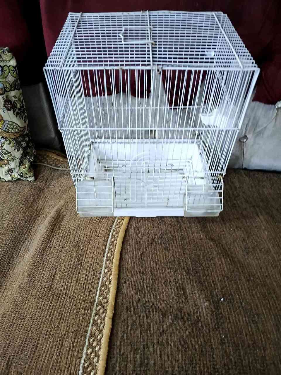 قفص جديد كامل ملحقاته مال ببغاء


**إذا كنت صاحب هذا الإعلان وتريد حذفه لأي سبب، رجاءا أرسل رسالة إلى الدعم الفني**