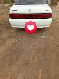 كرستا • ١٩٩٥ • كفاله عامه