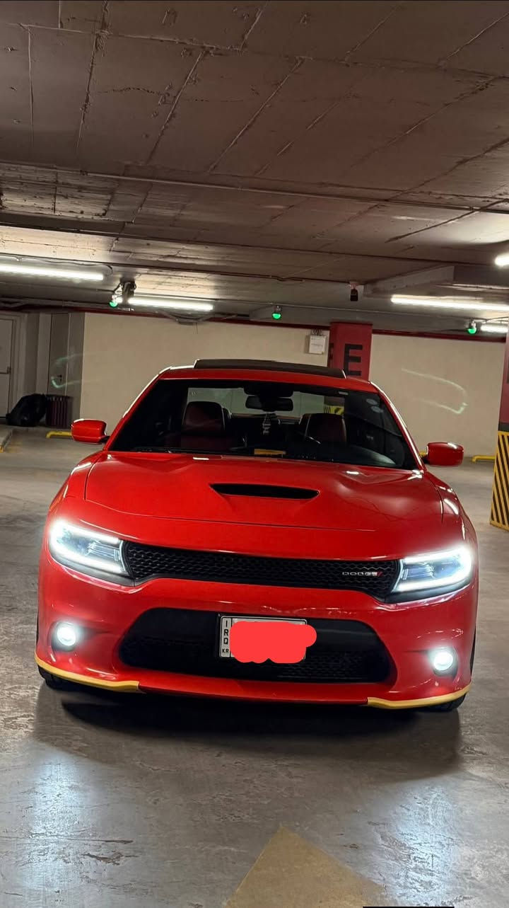 سلام عليكم جارجر موديل 17 متومه وجهازه فول على هواي ضافات دبات كورسة رياضي مكينه 3600كير مكينه صالي شهر من شادهن بشرط مال موديل 23 تصوير موجود مال تبديل سياره تغير لون من اسود البرتقالي كفاله من زلغ عده الكصه واحد جنطه سعر 85بيه مجال حك جيه ماتعجبك لا تكسر بحلال ناس كلشي مثكور بالمنشور لا تعبني سياره جهازه من كلشي ***********
