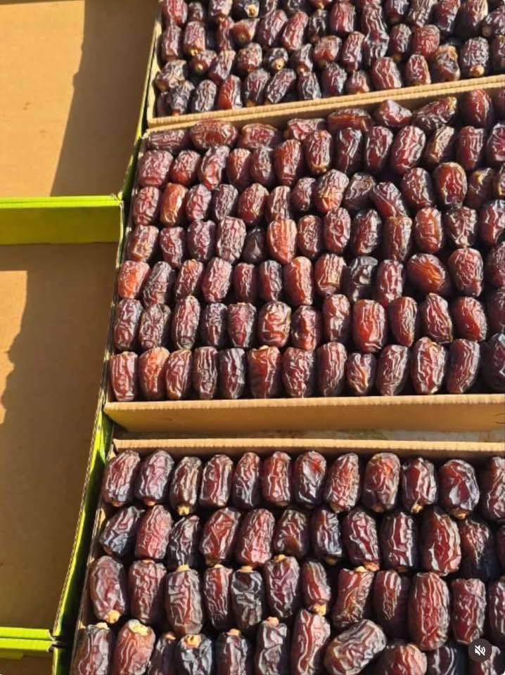 تمر بريم كميه محدودة
تمره خشنه درجه اولى 
كل كارتونه كيلوين ونص 
شرط فحص متوفر توصيل


**إذا كنت صاحب هذا الإعلان وتريد حذفه لأي سبب، رجاءا أرسل رسالة إلى الدعم الفني**