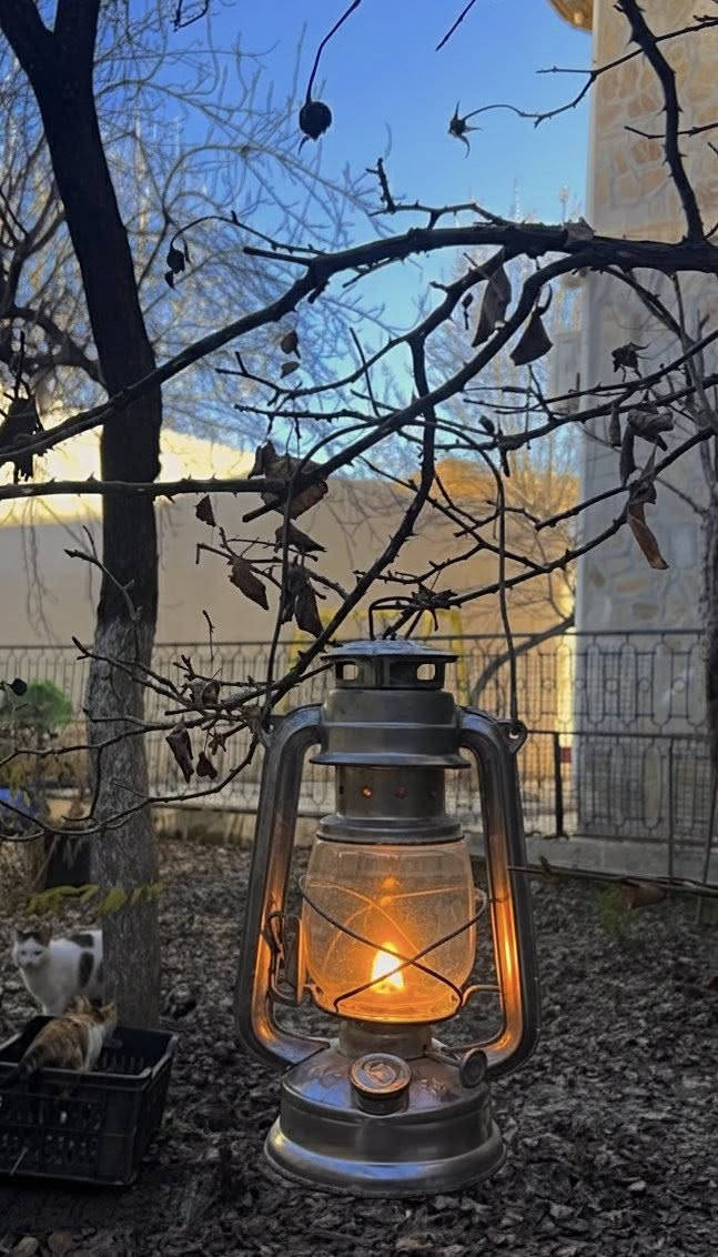 فانوس للبيع لون رمادي الطول 25 سنتيم 
التوصيل متوفر لكل ولايات مع إمكانية الفحص قبل الدفع مرحبا بالجميع


**إذا كنت صاحب هذا الإعلان وتريد حذفه لأي سبب، رجاءا أرسل رسالة إلى الدعم الفني**