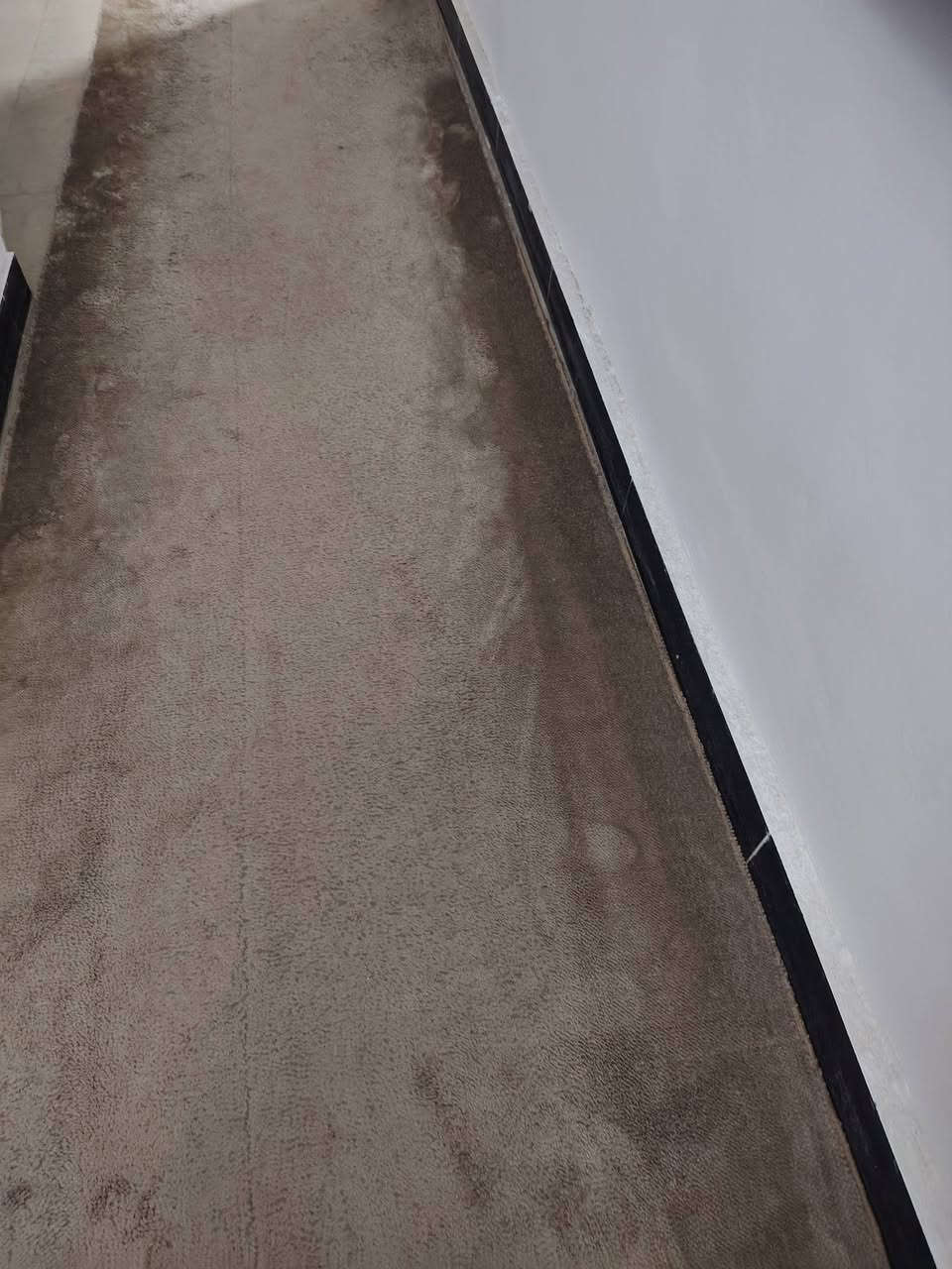 للبيع


**إذا كنت صاحب هذا الإعلان وتريد حذفه لأي سبب، رجاءا أرسل رسالة إلى الدعم الفني**