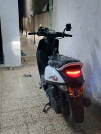 بوليس • ٢٠٢٣ • اوراق