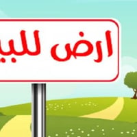 كربلاء البوبيات • ٣ قطع • قرب المرقد ٣كم