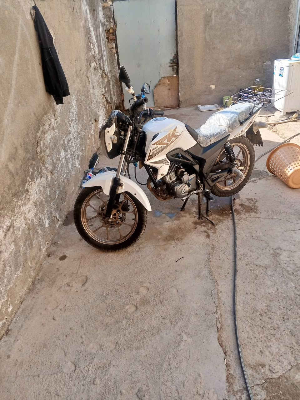 مراوس بسياره سايبه اي شي


**إذا كنت صاحب هذا الإعلان وتريد حذفه لأي سبب، رجاءا أرسل رسالة إلى الدعم الفني**