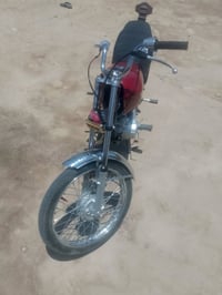 فول • مكفول • نضيفه