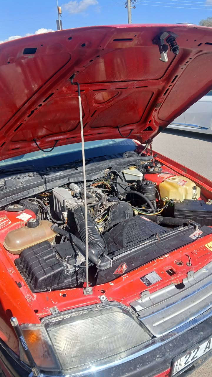 ***********
الحلال
