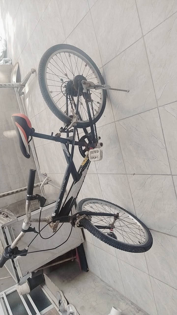 السلام عليكم 🤚
للبيع بايسكل جبلي أصلي 🚴‍♂️
نوع قوي ومناسب للمشاوير والرياضة
أبو 6 نمر ⚙️
دبلات قوية وفرامل ممتازة
مرتاح بالسواقة ويتحمل الطرق
النظافة ممتازة
السعر 65 ألف فقط 💰
المكان: بغداد / جميلة / مقابيل جامع آل ياسين 📍
رقم التواصل: ٠٧٨٣٢٦٥٤٠٨ ☎️
للاستفسار راسلني خاص 📩


**إذا كنت صاحب هذا الإعلان وتريد حذفه لأي سبب، رجاءا أرسل رسالة إلى الدعم الفني**