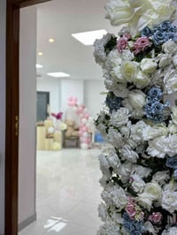 ميسان • ترتيب استقبال بيبي