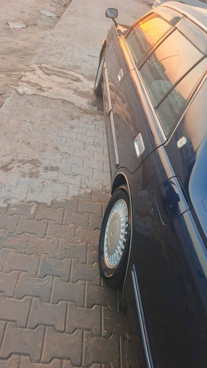 السلام عليكم راس ثور تكم كفاله للبيع نكليزي جاهزة للاتصال ‏‪+9647802796116‬‏
