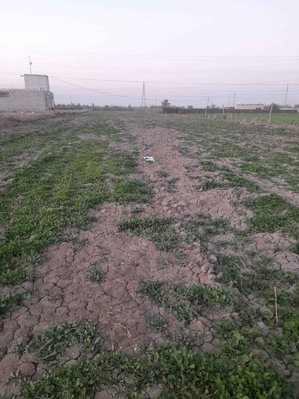 يوجد دونمين زراعي سند 25 مجاورات مجمع النوار شاميه خلف مشروع الماي الارو الجديد  يصلحن زراعه وسكن بيهم سكاي خاص الى زراعه وبيهن ماي خاص الى شرب وكرهباء وتبليط بسم شخص واحد مداور مباشرتن بسم المشتري ال ستفسار ***********
