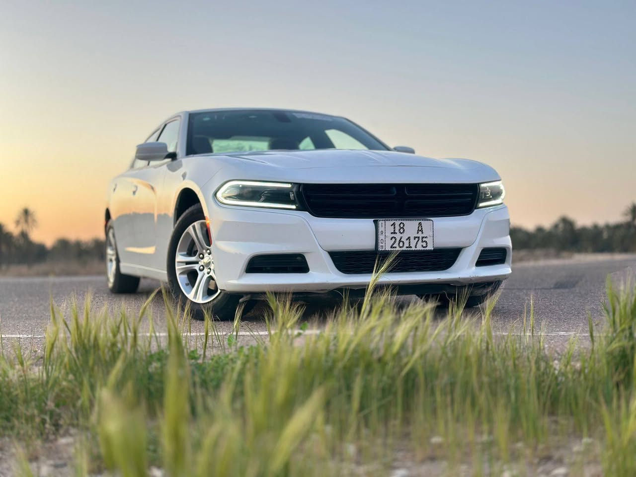 السلام عليكم
دوج جارجر  ٦ سلندر
موديل 22 اصل 
حره رقم بابل 
ماشيه 30
حادث جاملغ خلفي 
بجم كبس شركه 
 صور حادث  مرفقه
السعر/ 197 وبيه مجال. بسيط 
***********
