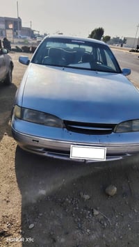 برنس فراشه • ١٩٩٦ • رقم ديالى