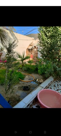 حي العزل • سند ٢٥ • ١٤٠م