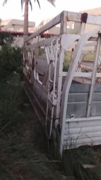 ديالى شهربان • شاحنات