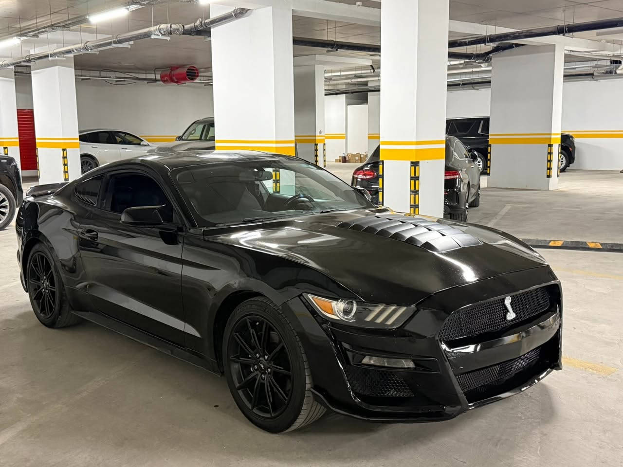 السلام عليكم
🚘موستنك ٢٠١٦ ايكو بوست بريمويم رقم اربيل 
مواصفات بصمة كشن جلد تدفيئة تبريد 
داخل ٧ الوان دوسة ليد 
جاملغين امامى كلير بنيت صبغ باب واحد كلير 
بنيت دعامية مبدل شيلى حتا ويل 
تايرات ويل جديد حدادية جديد 
ماشية ٩٠ رقم سنوى هزة جديد بسمى تحويل ثانى يوم 
كير محرك كهربائى مابى شى سعر 105 ورقة مجال 
مكان سيارة اربيل ***********واتساب
