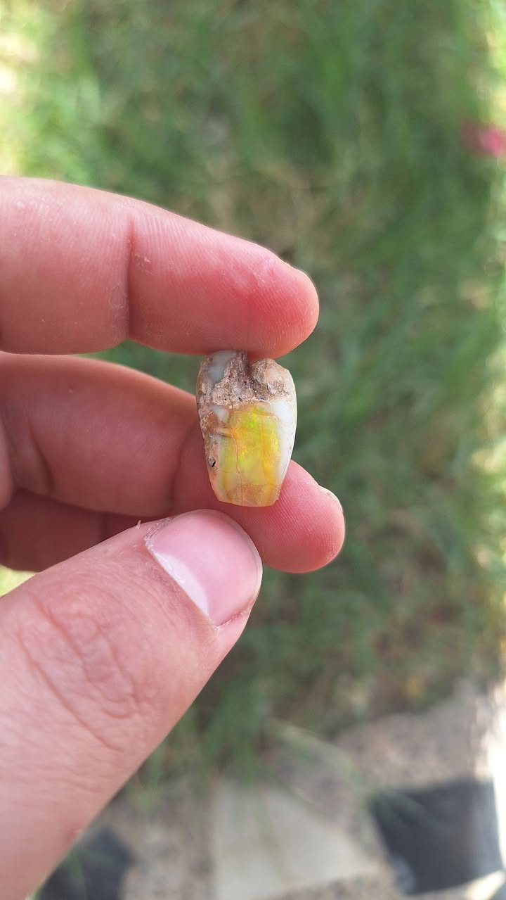 السلام عليكم 
محبسين وحجر للبيع او المراوس 
المكان بصره قبله


**إذا كنت صاحب هذا الإعلان وتريد حذفه لأي سبب، رجاءا أرسل رسالة إلى الدعم الفني**