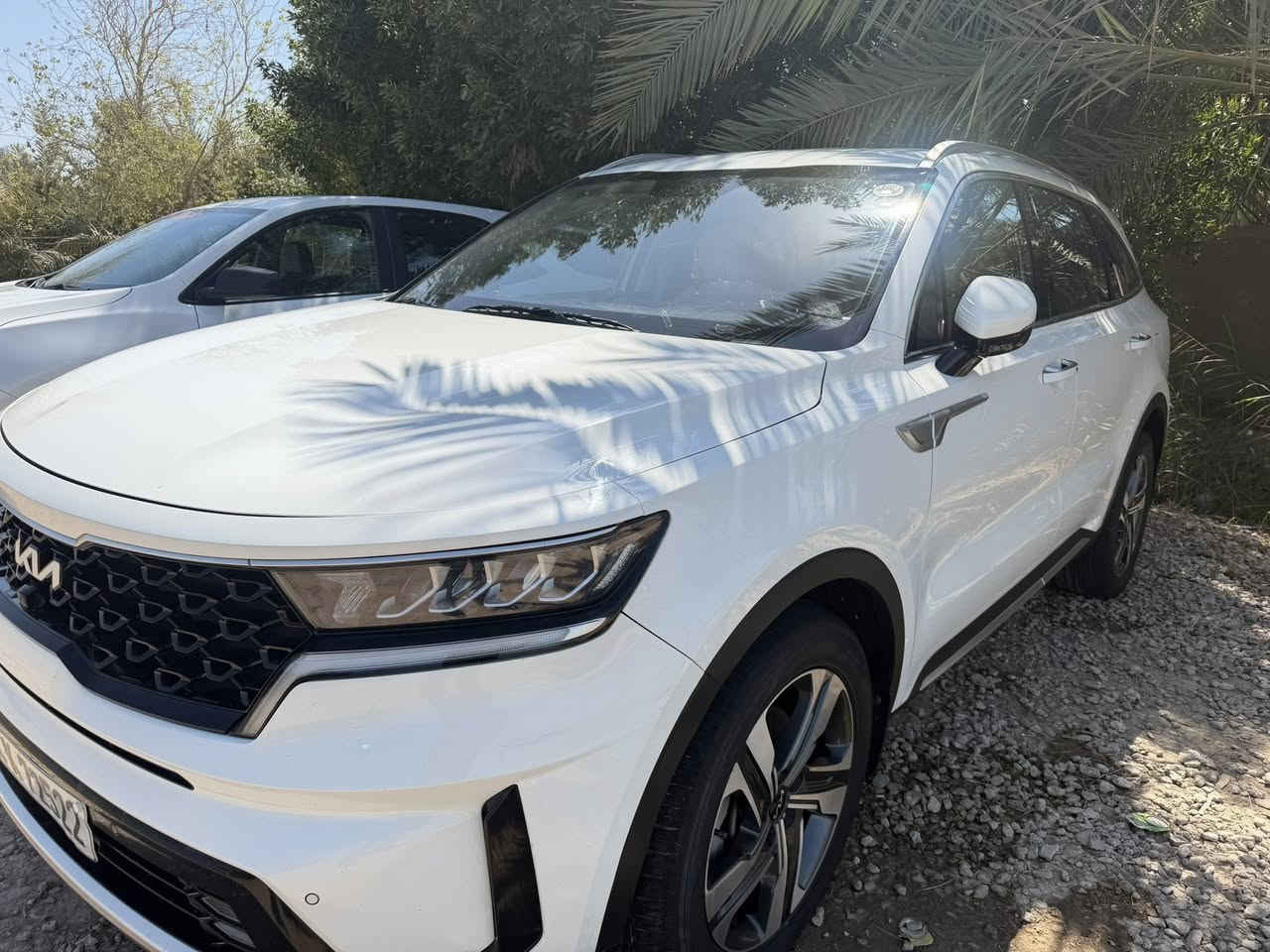 السلام عليكم ورحمة الله وبركاته
سورنتوا موديل ٢٠٢٣
محرك ٦
فول مواصفات 
خمس كاميرات 
كشنات تدفئه تبريد 
وباقي المواصفات 
مكفوله من الصبغ والتبديل 
فقط بارد قليل مكانات اصغار 
شرط الفحص 
مراوس بسورنتوا موديل ٢٠٢٥
***********
