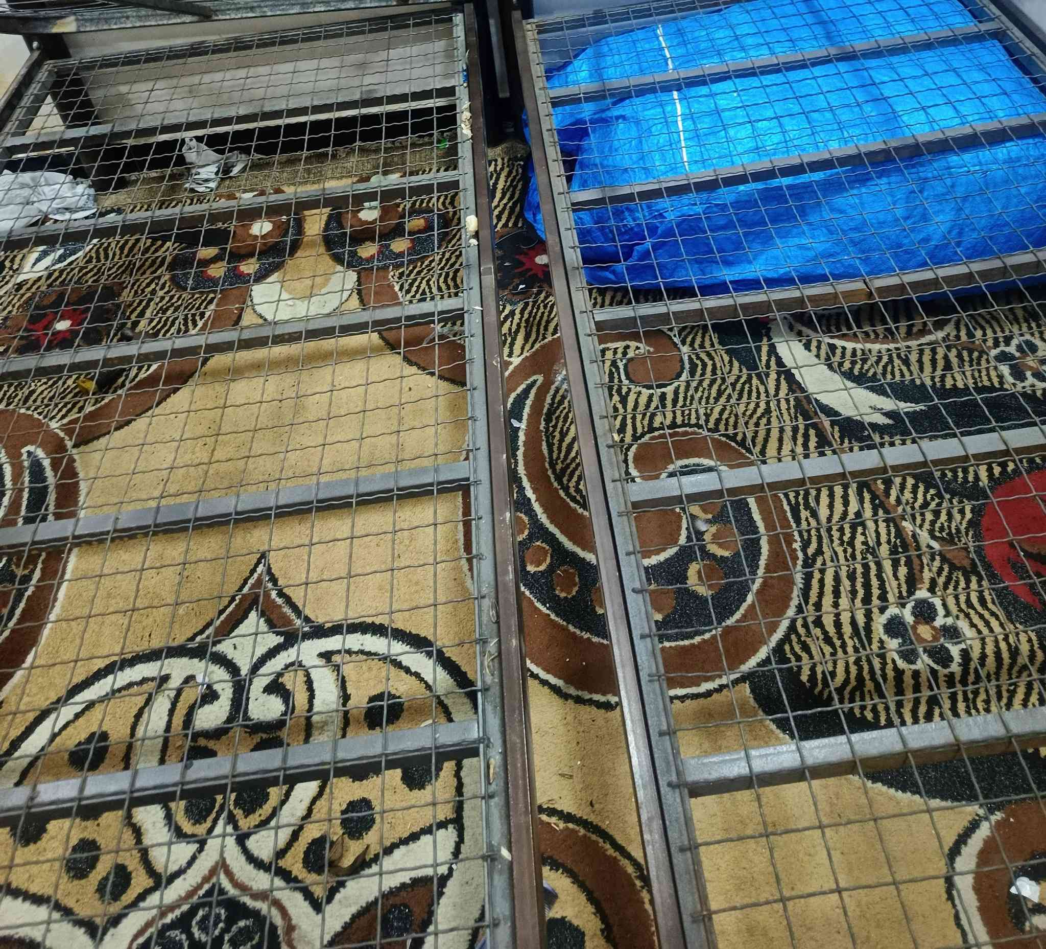 حدايد جماعه طيور تفيدكم قفص اكتب سعرك وبالعافيه


**إذا كنت صاحب هذا الإعلان وتريد حذفه لأي سبب، رجاءا أرسل رسالة إلى الدعم الفني**