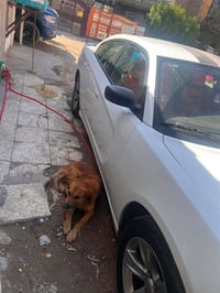 وبركاته  جارجر 18 اصل  حادث بامريكا ربع الغلد الامامي الايمن مبدل جامل...