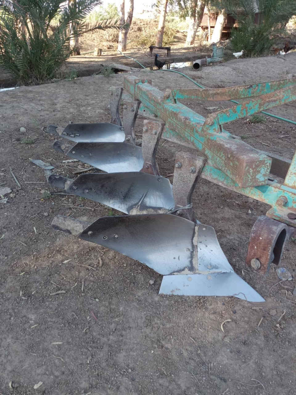 للبيع فدان ناردي حجم  ٨  رباعي 
فدان جاهز للعمل العنوان واسط النعمانيه 
***********
***********
