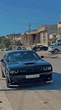 جالنجر ار تي ٢٢   ، ماشيه ٣٩ مايل  ، بجم كبس ، شاشه جبيره ، داخل مخمل ، لا سلايد ولا كنتاره ، برمجه وولف حماوه ريسنك وترتيب كامل ، مواصفات الارتي معروفه سياره كلش معتني بيها ، بغداد تحويل مباشر ، سعر ٢٤٢٠٠ 
تفاصيل ثانيه مراسلتي  
رقمي *********** 
السياره ابدا متنقاس وي المهجومات
