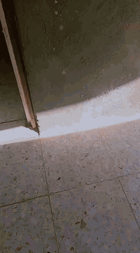 بسم الله الرحمن الرحيم  بيت  ١٠٠متر طابقين الفوك هيكل بوب شبابيك وصب ع...