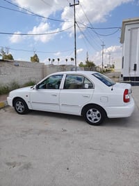 فيرنا • ٢٠١١ • بدون صبغ