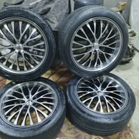 ويل كب • رياضي • راس ثور