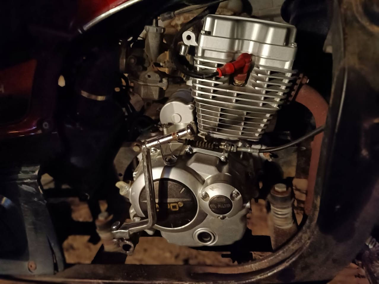 ستوتة جمرة فحل رقم سعرة 2ونص بيه مجال ***********
