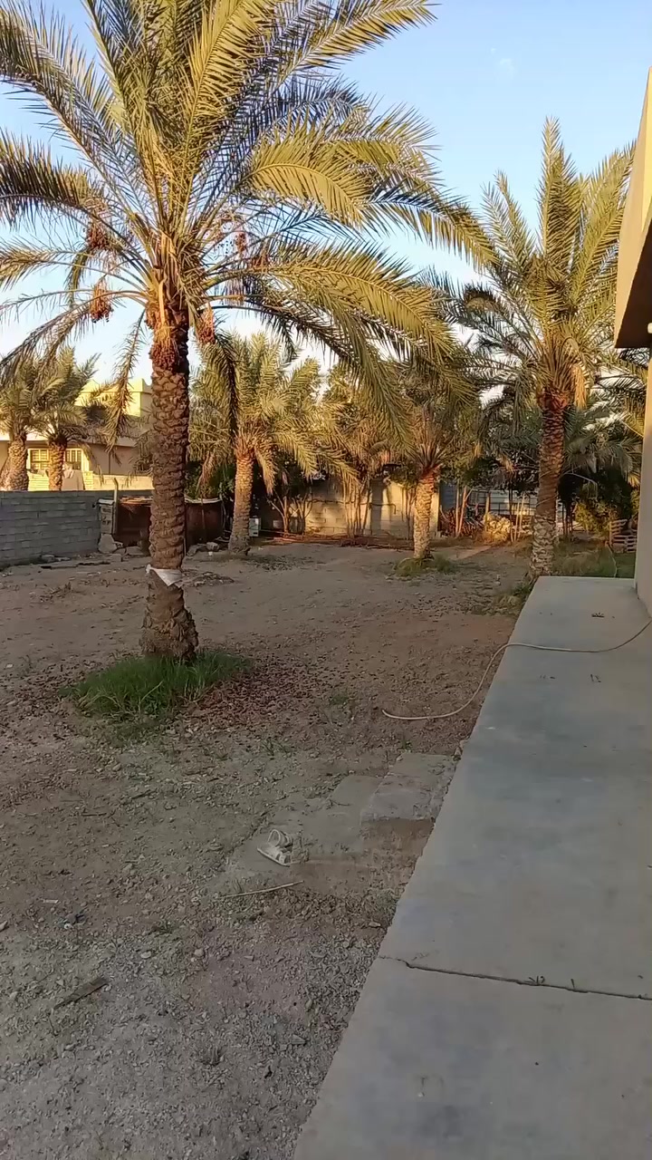 سلام عليكم 600 متر الواجه 13 ونص نزال 46 سند 25 اصوليه بل مصابيح وره شقاق مال مصابيح تبعد عن صابيات عشر دقيقه عن الكاضميه ربع ساعه المنطقه هدوء تحتوي الارض عن بئر مي وسبتتينج صوندا مال ماي كهرباء 24 ساعه شارع خمسه متر وخليه بالك اصوليه تصلح سكن مزرعه الاستفسار اتصال على هذا الرقم *********** كورك بي وتساب ***********
