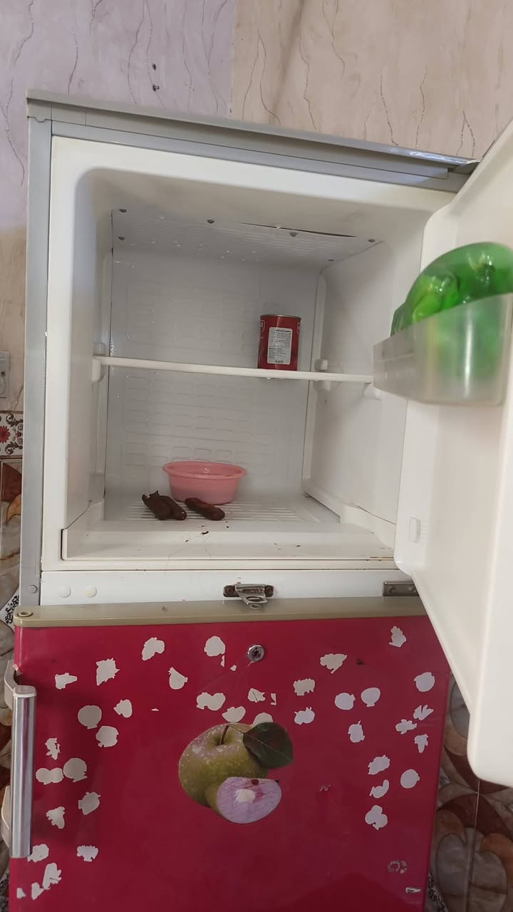 ثلاجه للبيع العلوان خطيب الزراعي سعر 150


**إذا كنت صاحب هذا الإعلان وتريد حذفه لأي سبب، رجاءا أرسل رسالة إلى الدعم الفني**