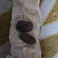 حجر هبهاب • نثيه وفحل • بغداد