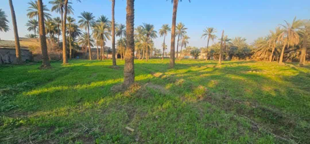 آللهم صل على محمد وآل محمد 
ارض للبيع المساحه 4 دونم ونص طابو زراعي سند 25 على شارعين تبليط وبيهن بيت متوفره كافة الخدمات العنوان كربلاء طويريج المنفهان السعر خاص للإستفسار الأتصال على الأرقام الموجوده 
***********
***********
