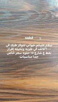 طوبه ونخيله • إفراز نفط • قطع