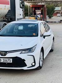 كورلا هايبرد • ٢٠٢٤ • رقم بابل