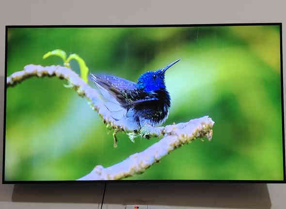 شاشة سامسونك الأصلي 4K حجم 50 أنج ستلايت داخلي تكنيك مستعمله قليل نظافة 95٪ سعر 500 وبي مجال مكان ابو الخصيب ***********
