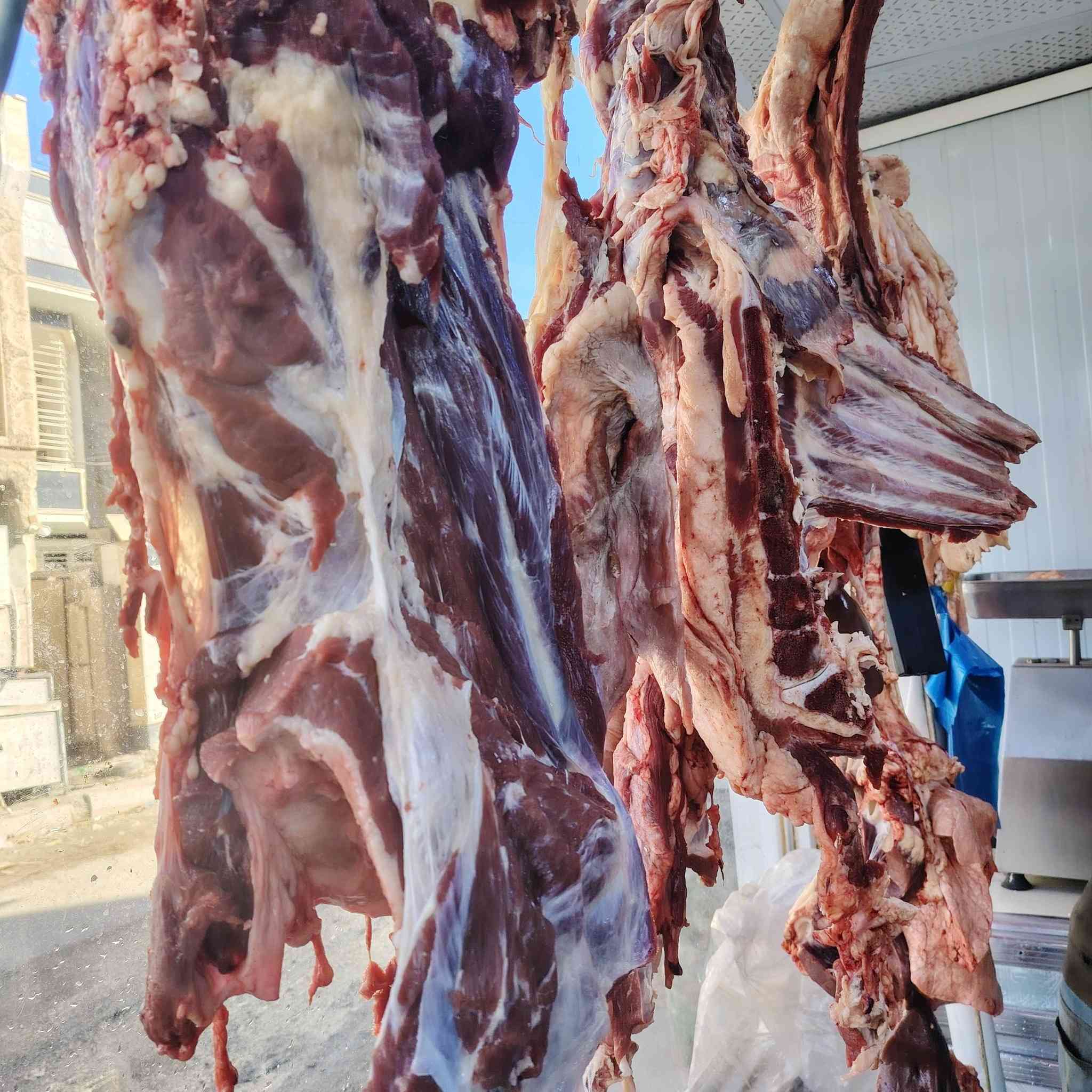 #هله_والله 
➖➖➖➖➖➖➖➖➖
ڪباب اهلنا لحم عراقي طازج.. 
#تاڪل_وانت_مطمئن..
ــــــــــــــــــــــــــــــــــــ
🔥 صينية ڪباب لحم ، 10 شيش  🇮🇶
مع المقبلات مع المدارة ،، ب10 الاف فقط.. 
وبلا شك ان اللحم المستخدم هو لحم عراقي طازج 🇮🇶🇮🇶🇮🇶🇮🇶

🍀🍀🍀🍀🍀🍀🍀🍀🍀🍀🍀🍀
#للــــــــحجز 

👈🏼***********

   👈🏼 ***********

➖➖➖➖➖➖➖➖➖
هله والله لديڪــــــــــم، 
لاخوف عليڪــــــــــــــــم 😘😍
-
✔️واســــــــط.. 
✔️عزيــــــــــــزية..
✔️ الجمعية الاولـــــــى.. 
✔️خلف مرطبــــات زهرة الخليج.. 
.
