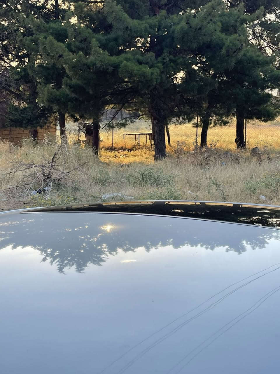 Nisan sintra sv
نیسان سئنترا 
ئەمریکی 
٢٠١٧ سلایت 
سەنەوی نوئ 
هەزە نوئ 
هەمو شتی نوئیە
گئر مەکینە بەشەرت 
شاشە ئایپات 
سەیارەکە توندە 
بئ قەپو قۆپ بئ شوخت 
سبوخ تەنها ٢پارجە بئ داخلی داخلی بەشەرت هیجی نەگرتوە 
سەیارەکە زۆر جوانە هیج مەسروفی تئدا نیە 
نرخیشی ١٠٥وەرەقەو مەجال 
ژمارە مۆبایل :***********
***********
