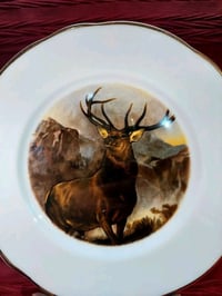 طبق زخرفي • ملك الوادي • قطر ٢١سم