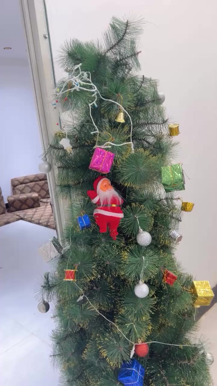 سعر ١٥ كبيره مع الزينه مكان زبير


**إذا كنت صاحب هذا الإعلان وتريد حذفه لأي سبب، رجاءا أرسل رسالة إلى الدعم الفني**