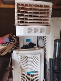 كنفيرة • جديدة