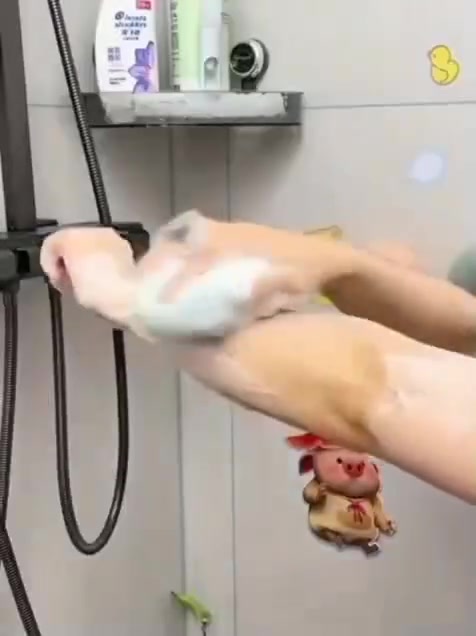 ✨🌟 شوفولي الإبداع والتميز المستمر 🌟✨
🧼💖 ليفة سيليكون طبية أصلية ✅ منتج بأعلى جودة ✅ ناعمة على البشرة ✅ سهلة التنظيف والاستخدام ✅ مناسبة للاستحمام اليومي ✅ تساعد على تنظيف البشرة بفعالية ✨
💯 منتج مهم ومفيد وضروري بكل بيت 🏠💝
🎁 العرض المميز: 🔥 3 قطع بسعر 15 ألف فقط 🚚 والتوصيل مجاني إلى باب البيت
📲 للحجز والاستفسار: واتساب: ***********
💎 لا تفوتون الفرصة والكمية محدودة 💎
#ليفة #ليفة_سيليكون #عروض #توصيل_مجاني #تسوق
