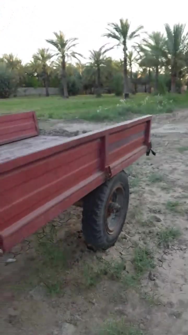 ‏‪***********‬‏
