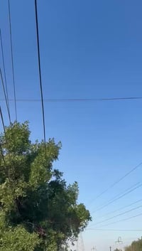 هورنات مؤسسه عالفحص  وين ما يعجبك المكان البياع تقاطع درويش هذا رقمي 0...