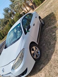 فلورنس • ٢٠١٣ • كفالة عامة