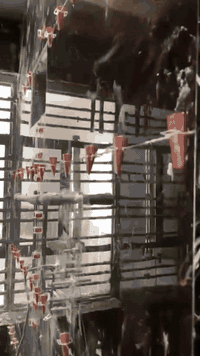 ابو رافت  المصري خلفه سيراميك درجه اولى شغل   درج كاشي مرمر الواح 120 ب 60 بورسلين‏‪***********‬‏متفرغ حاليا
