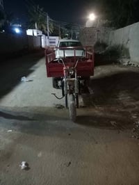 ستوته • بدون أوراق • شغاله