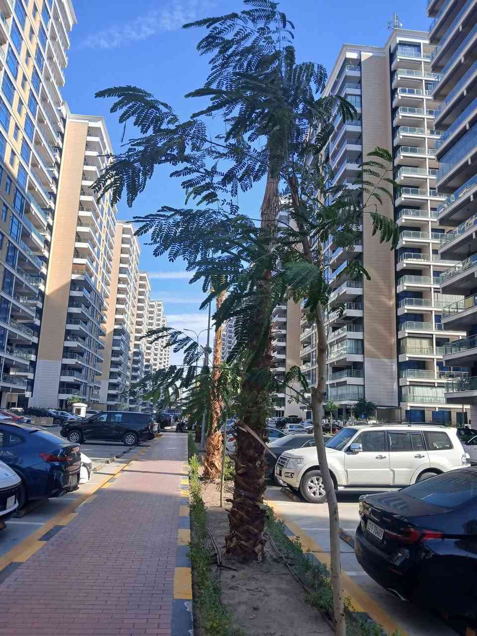 شقة للبيع
العنوان/بوابه العراق 
المساحة/170
طابق /14

-عدد الغرف 2
اطلاله/داخليه

-التسليم /جاهزه للسكن زيرو
السعر /31 شدة وبي مجال بسيط

للتواصل : ابراهيم الشاهين للتسويق العقاري 
*********** واتساب او اتصال
